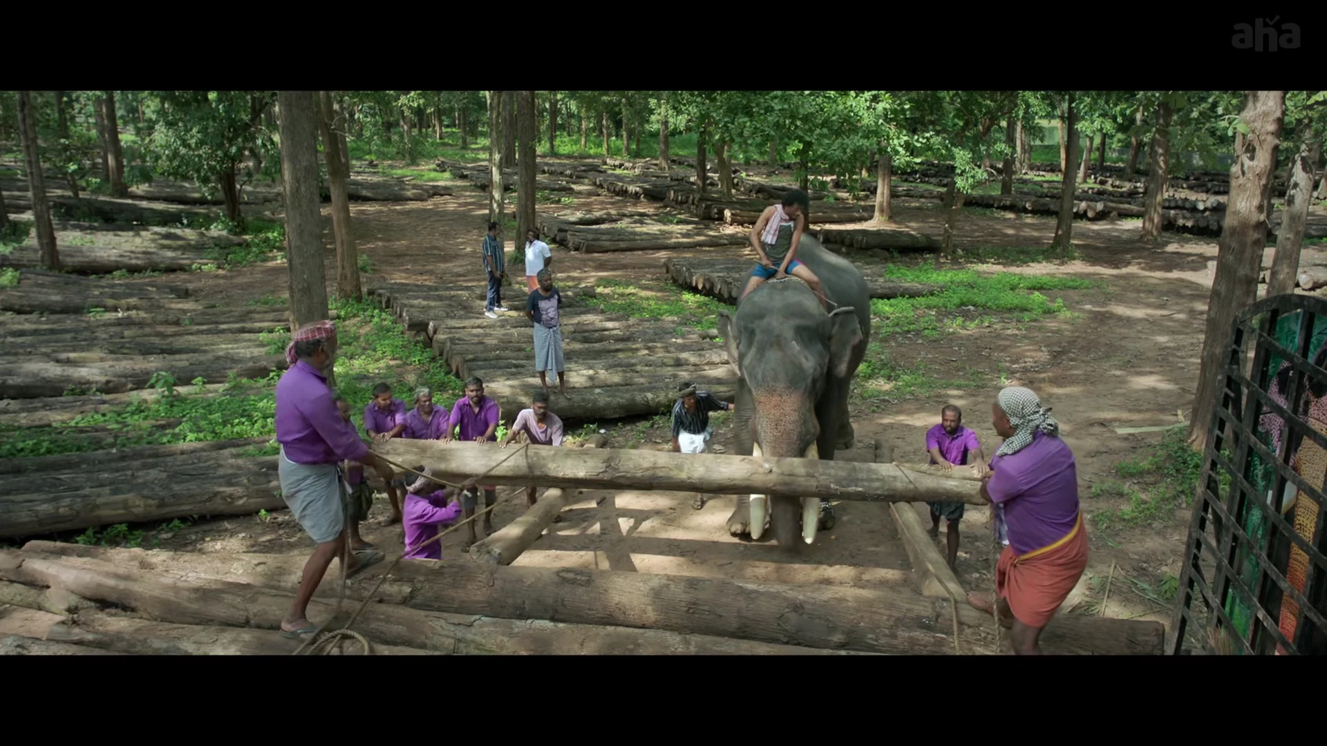 The Yellow Elephant 2026 Tamil Audio WEB-DL 720p – 1080p – 2160p screenshot 1