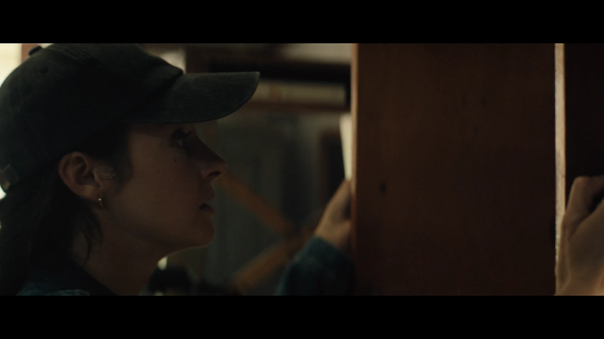 Unabomber 2026 Hindi Dual Audio WEB-DL 720p – 480p – 1080p – 2160p screenshot 1