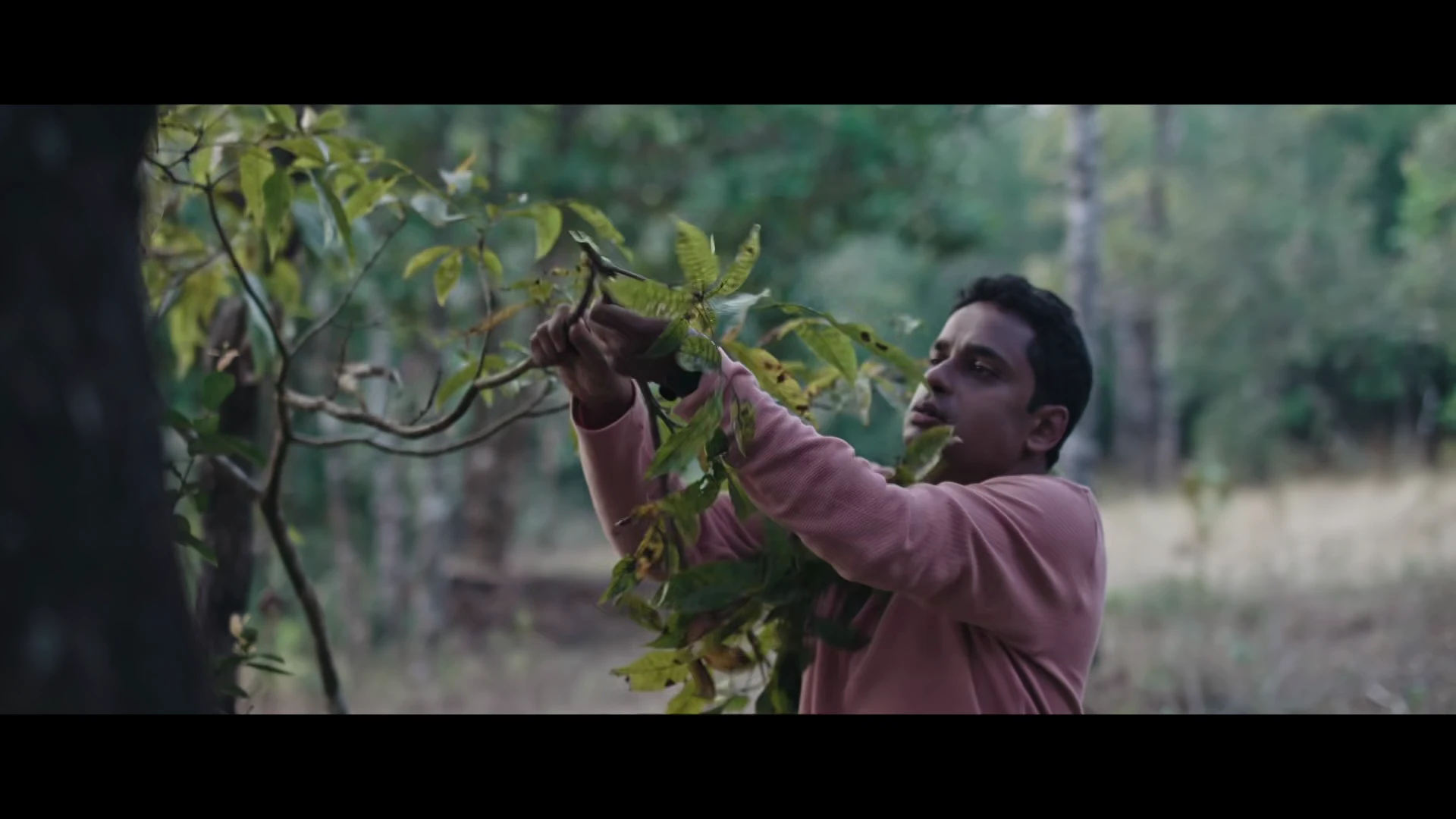 Vikalpa 2026 Kannada Audio WEB-DL 720p – 1080p screenshot 5