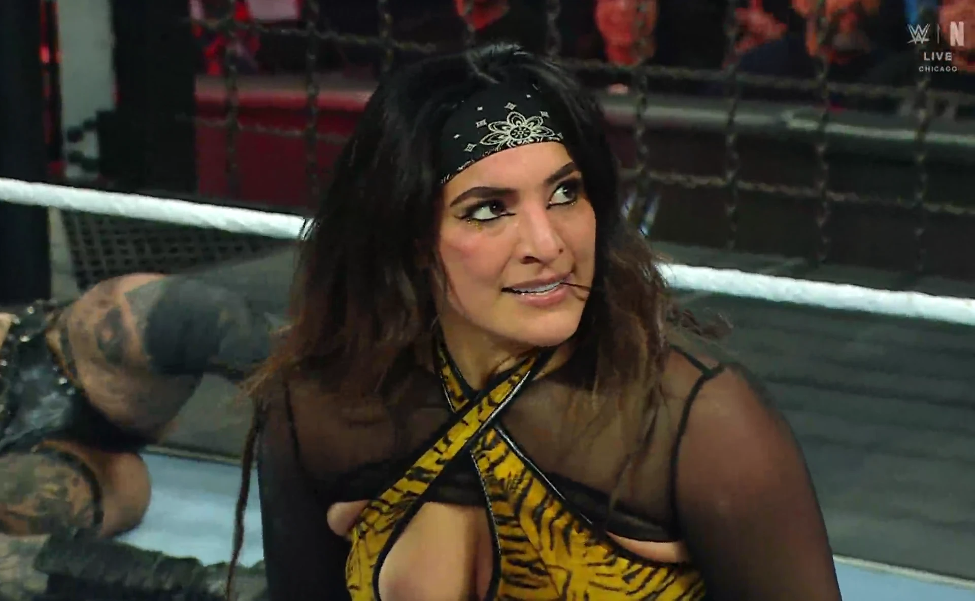WWE Elimination Chamber 2026 Hindi Dual Audio WEB-DL 720p – 480p – 1080p screenshot 2