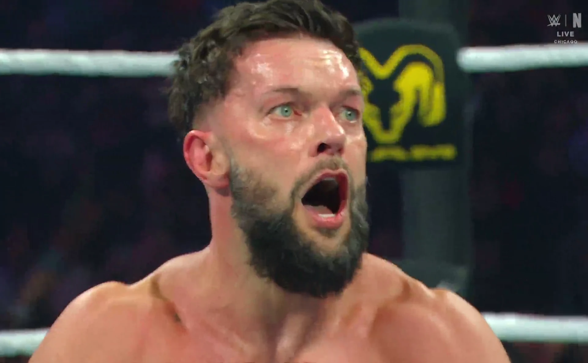 WWE Elimination Chamber 2026 Hindi Dual Audio WEB-DL 720p – 480p – 1080p screenshot 4
