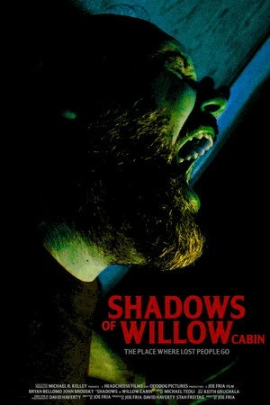 Shadows of Willow Cabin 2025 Hindi Dual Audio WEBRip 720p – 480p – 1080p (2026)
