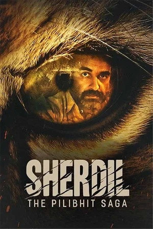 Sherdil: The Pilibhit Saga 2022 Hindi Dual Audio WEB-DL 720p – 480p – 1080p