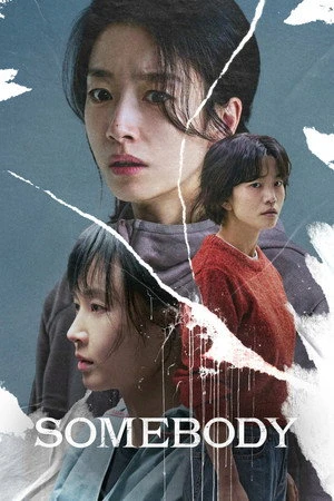 Somebody 2025 Hindi – Korean Dual Audio WEB-DL 720p – 480p – 1080p (2026)