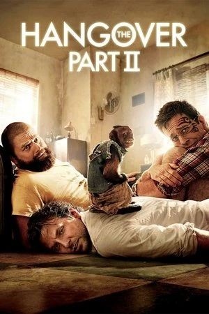 The Hangover Part II 2011 Hindi – English Audio WEB-DL 720p – 480p – 1080p
